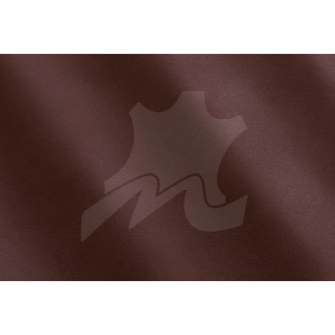 Aligo Group фото